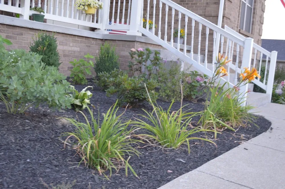 Expert landscape installation for outdoor upgrades in Winchester, KY by Cuccinelli Landscaping