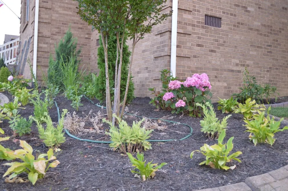 Expert lawn mowing service in Winchester, KY by Cuccinelli Landscaping