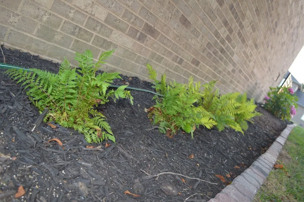 Top-rated yard maintenance experts serving Winchester, KY - Cuccinelli Landscaping