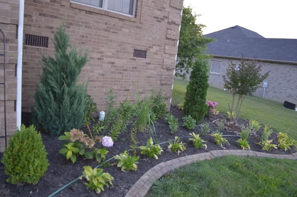 Affordable yard maintenance in Winchester, KY - Cuccinelli Landscaping