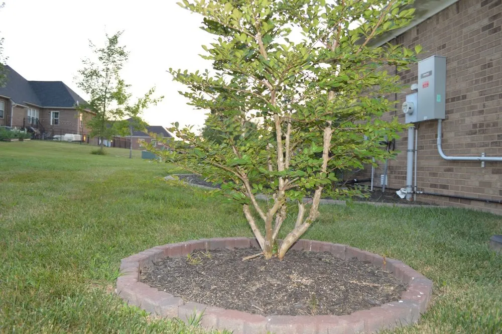 Reliable outdoor landscaping for beautiful yards in Winchester, KY by Cuccinelli Landscaping