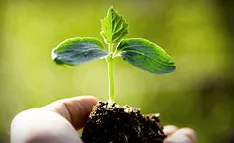 Custom landscape installation for year-round maintenance across Belmont, MA - Cucci's Landscaping