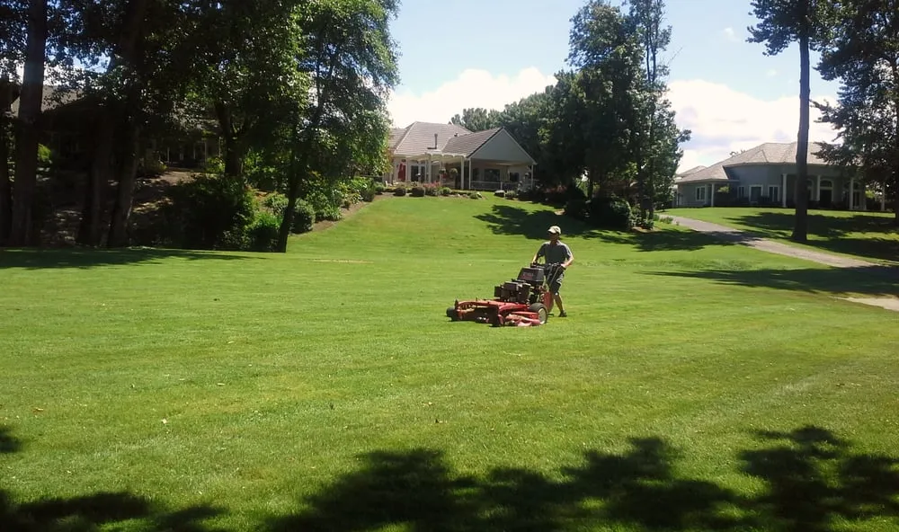 Expert yard maintenance in Grants Pass, OR by Cuchiara's Landscape Management