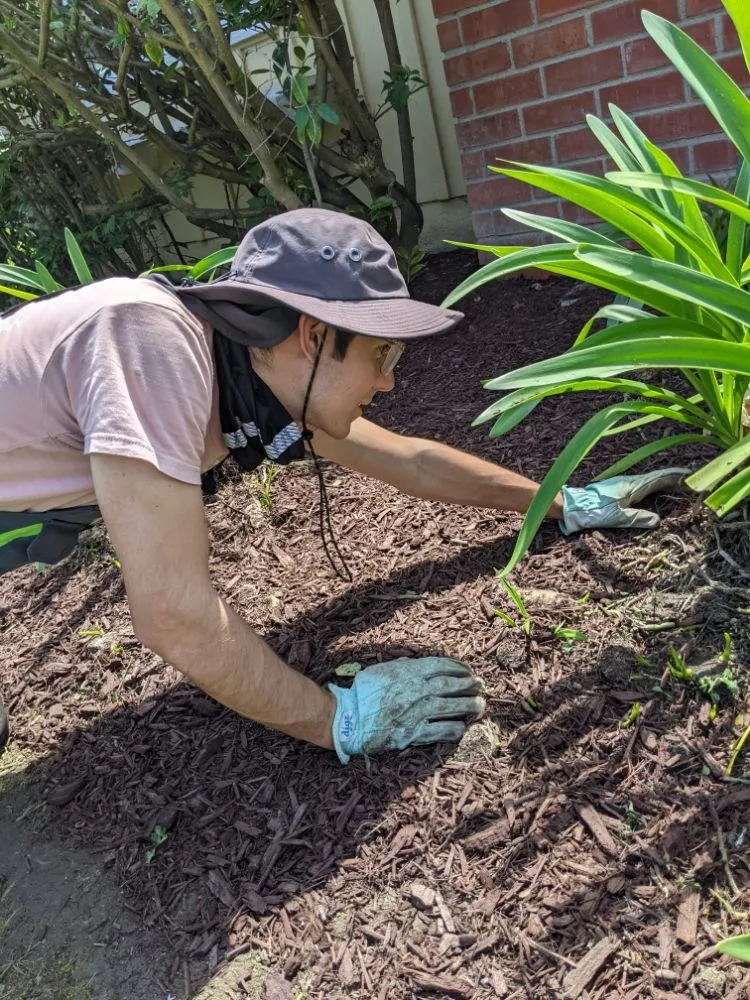Professional landscape installation experts serving Cudahy, CA - Cudahy Lawn Care & Maintenance