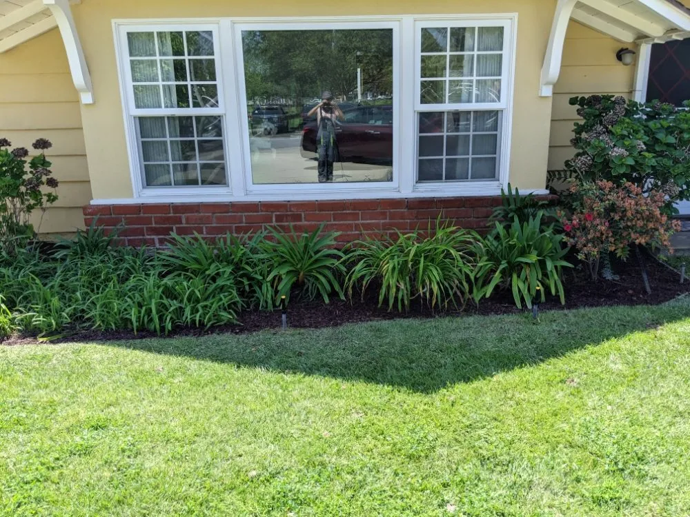 Local yard maintenance for year-round maintenance across Cudahy, CA - Cudahy Lawn Care & Maintenance