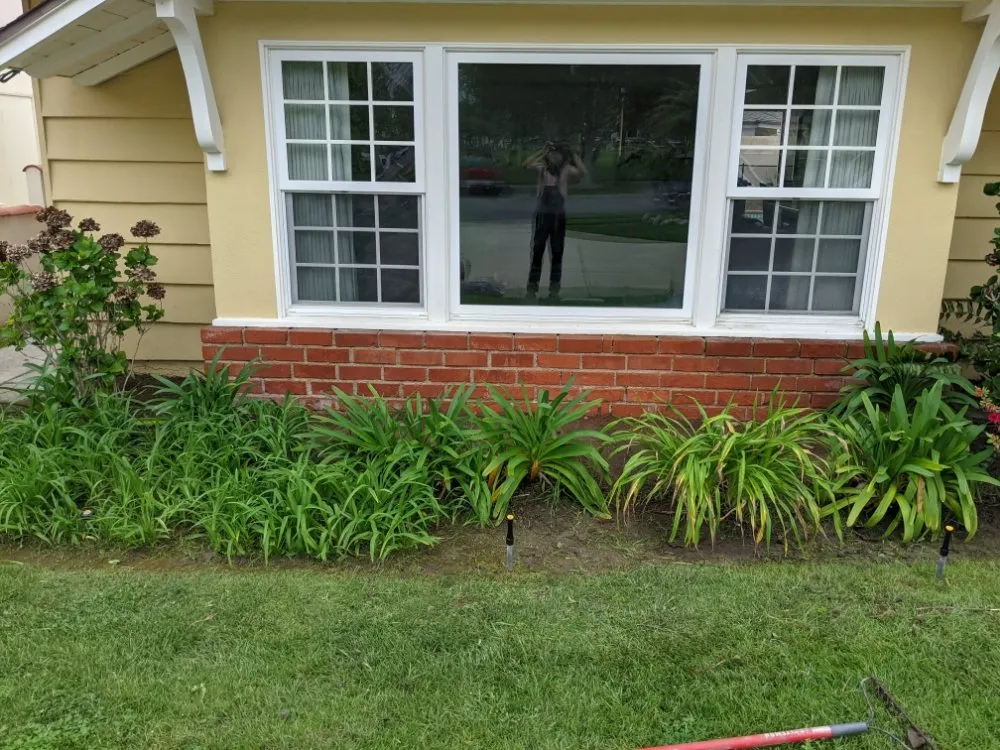 Trusted yard cleanup service in Cudahy, CA by Cudahy Lawn Care & Maintenance