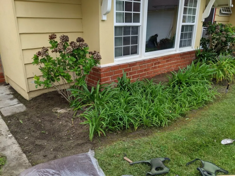 Top-rated residential landscaping with custom design across Cudahy, CA - Cudahy Lawn Care & Maintenance