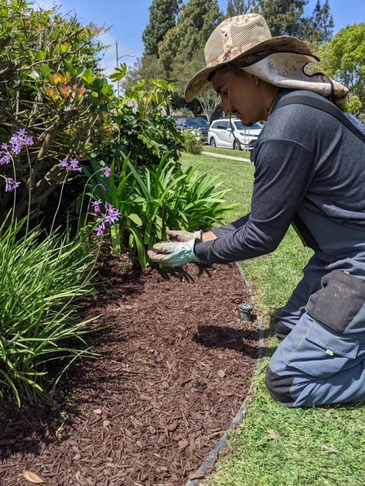 Local garden landscaping in Cudahy, CA by Cudahy Lawn Care & Maintenance