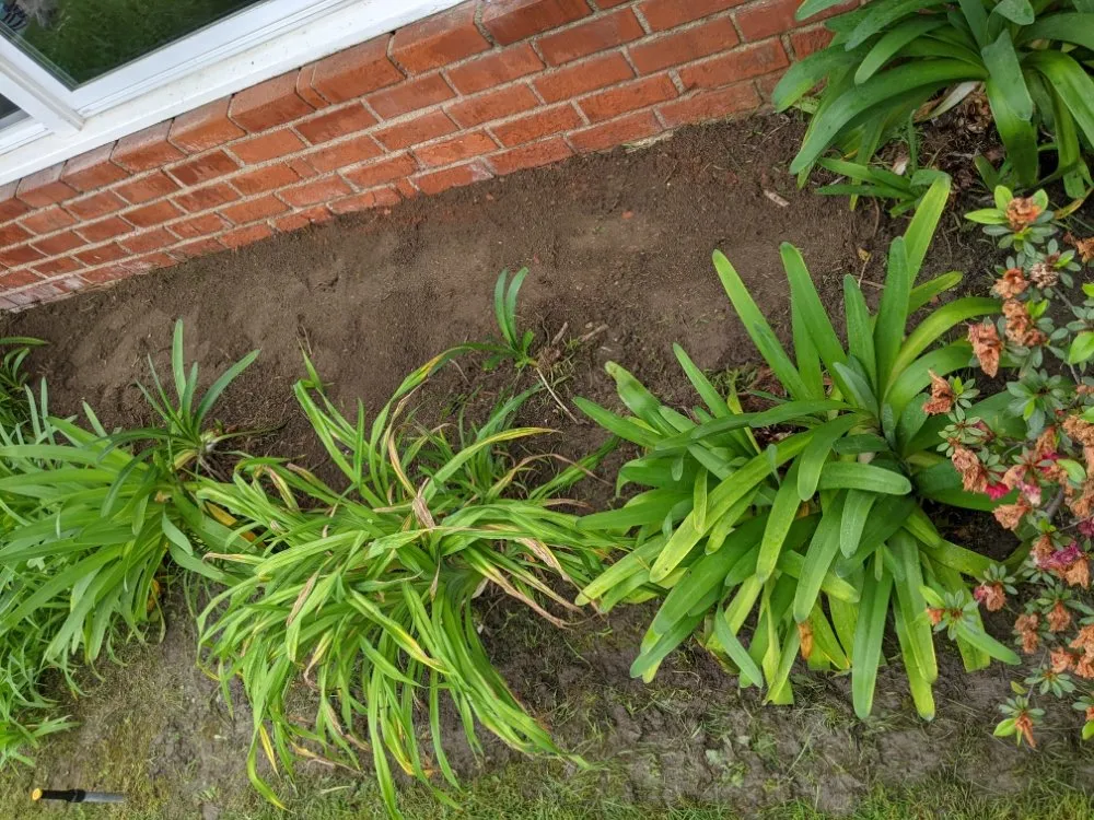 Local lawn care service with custom design in Cudahy, CA by Cudahy Lawn Care & Maintenance