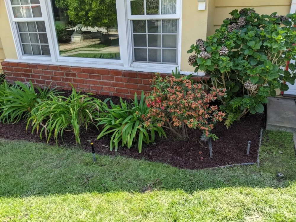 Top-rated lawn care service near you across Cudahy, CA - Cudahy Lawn Care & Maintenance