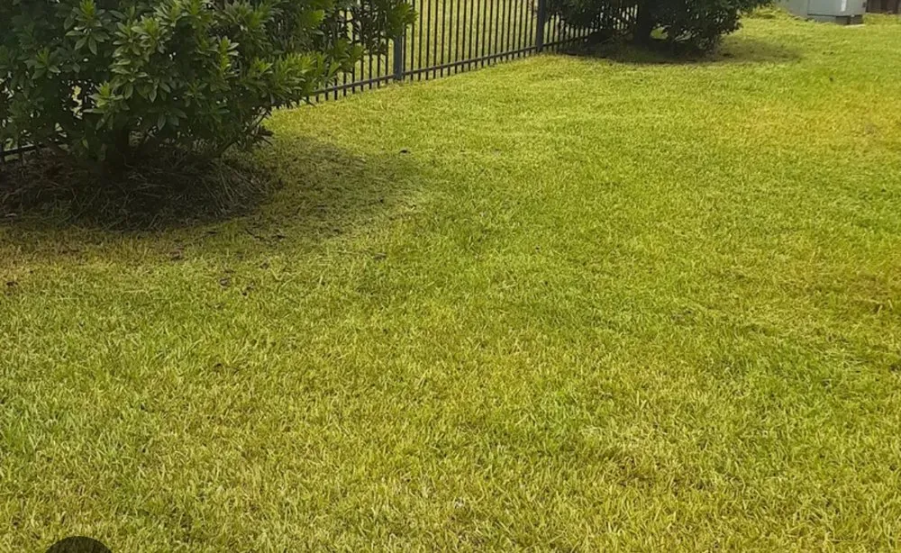 Professional landscape installation in Southaven, MS by Cuellar Landscape