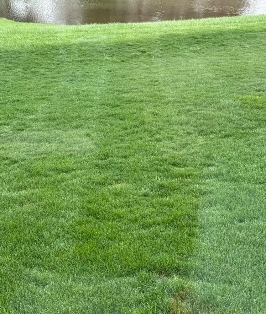 Local lawn care service in Southaven, MS - Cuellar Landscape