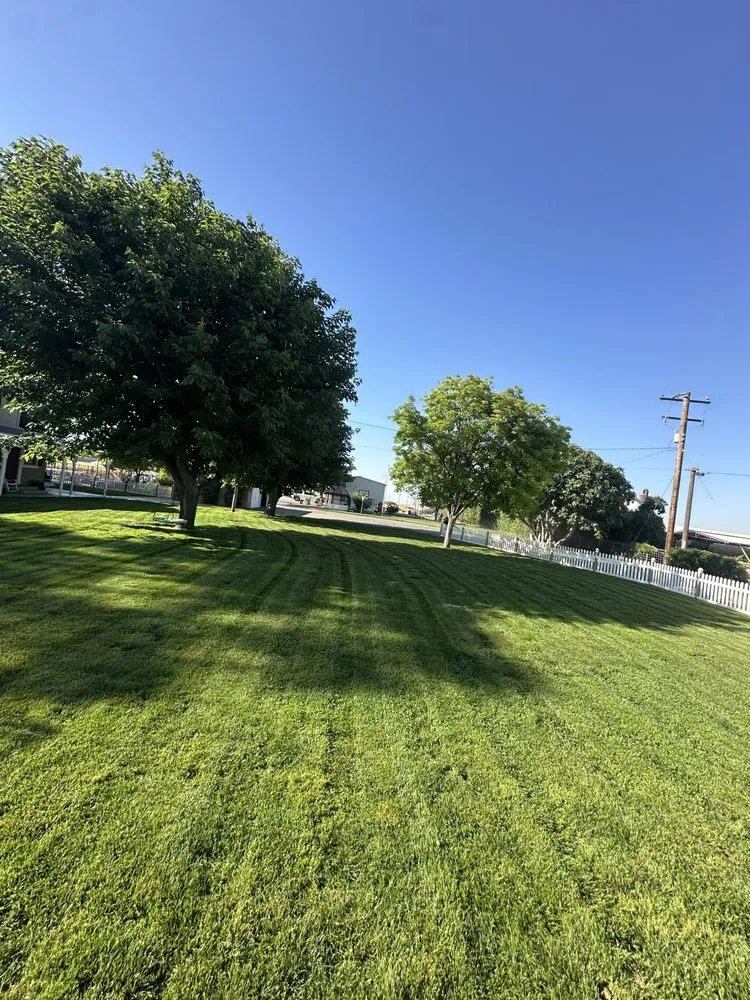 Custom lawn mowing service for outdoor upgrades in Visalia, CA by Cuellar’s Lawn Service