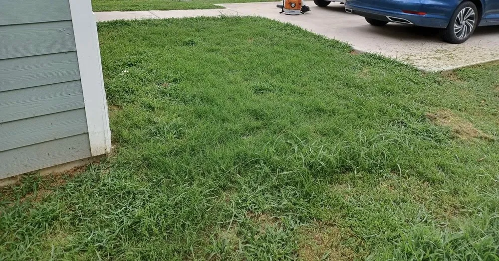 Top-rated yard maintenance for year-round maintenance in Montgomery, TX by Cuellos Lawn Enforcement