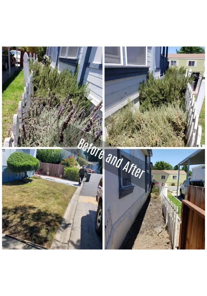 Top-rated lawn care service in San Jose, CA - Cuenca Landscaping