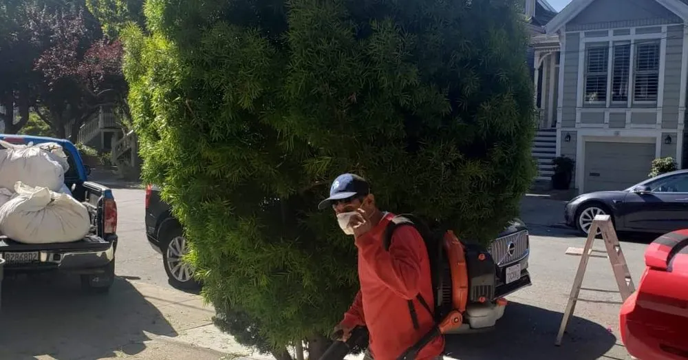 Custom residential landscaping for year-round maintenance across San Jose, CA - Cuenca Landscaping