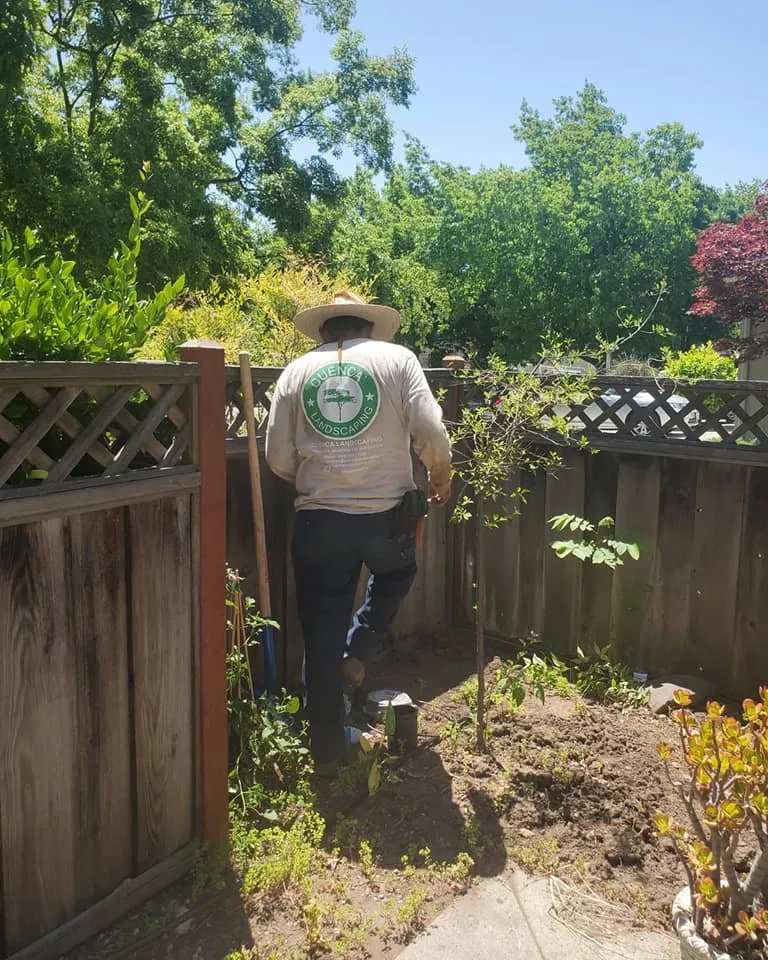 Trusted landscaping services experts serving San Jose, CA - Cuenca Landscaping