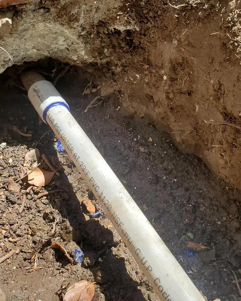 Professional yard maintenance in San Jose, CA - Cuenca Landscaping