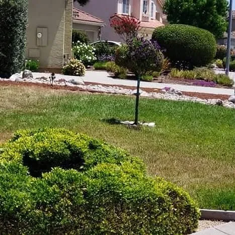 Top-rated yard cleanup service in San Jose, CA by Cuenca Landscaping