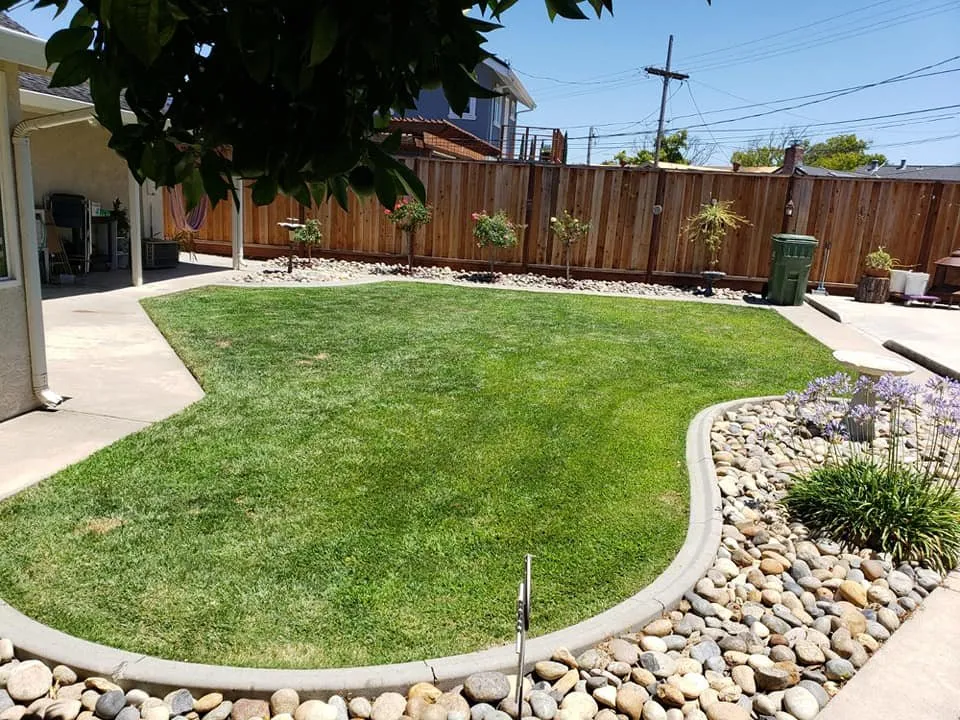 Professional yard cleanup service for beautiful yards in San Jose, CA by Cuenca Landscaping