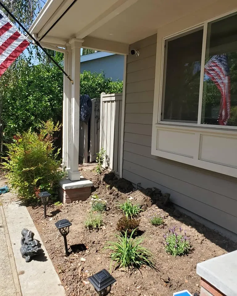 Top-rated landscaping services in San Jose, CA - Cuenca Landscaping