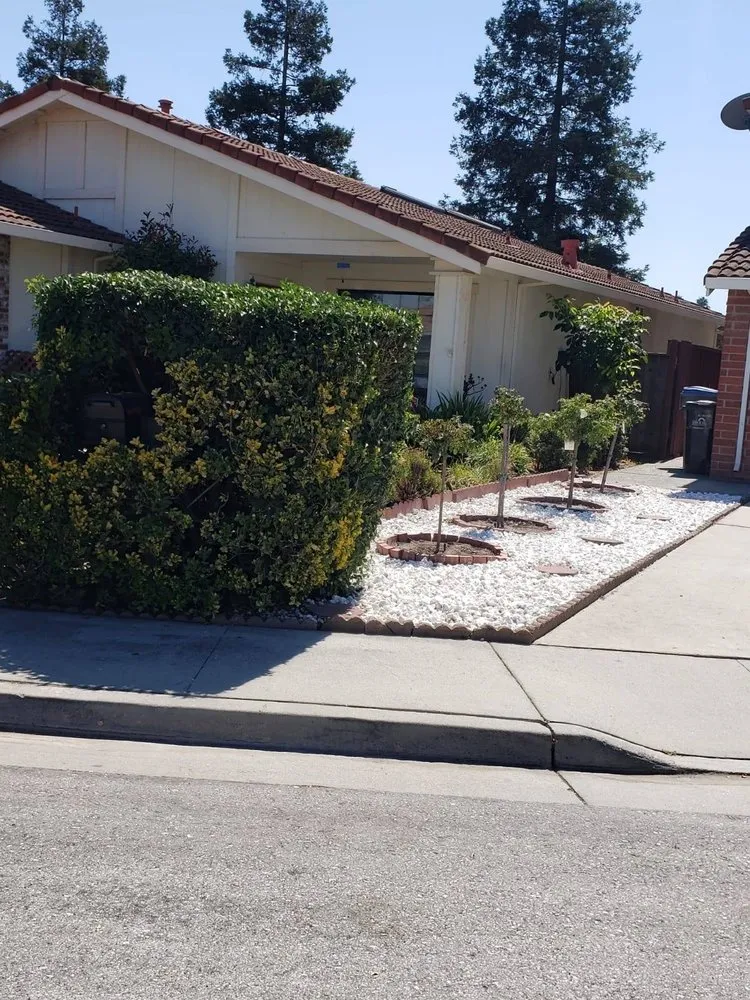 Expert lawn mowing service in San Jose, CA by Cuenca Landscaping