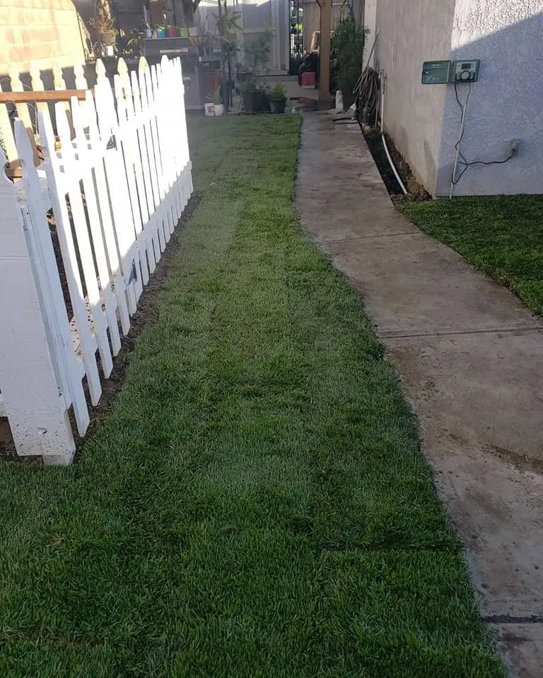 Trusted landscape design with custom design across San Jose, CA - Cuenca Landscaping