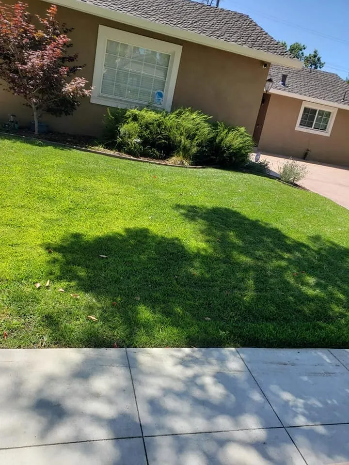 Custom residential landscaping in San Jose, CA - Cuenca Landscaping