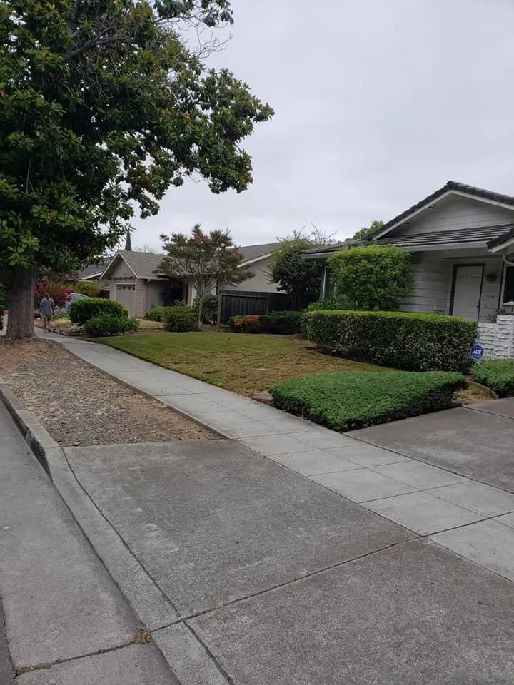 Top-rated yard cleanup service experts serving San Jose, CA - Cuenca Landscaping