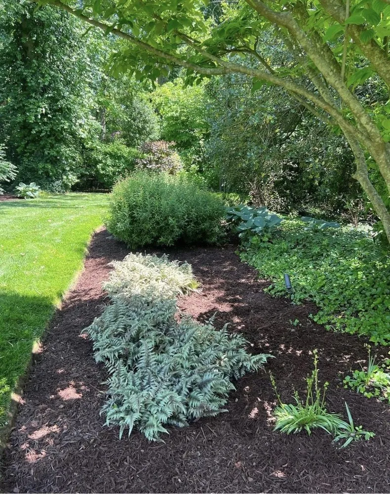 Expert outdoor landscaping in White Plains, NY - Cuenca's Landscaping