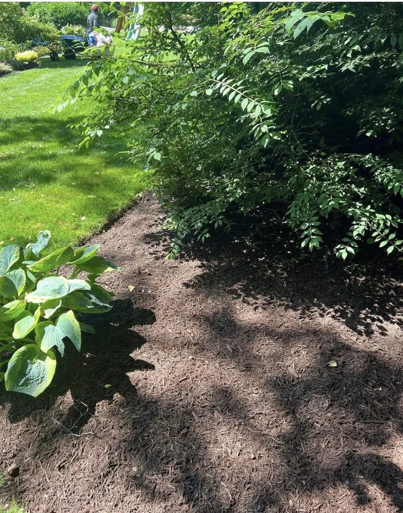 Local landscaping services with custom design across White Plains, NY - Cuenca's Landscaping