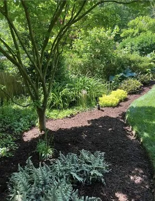 Cuenca's Landscaping Logo