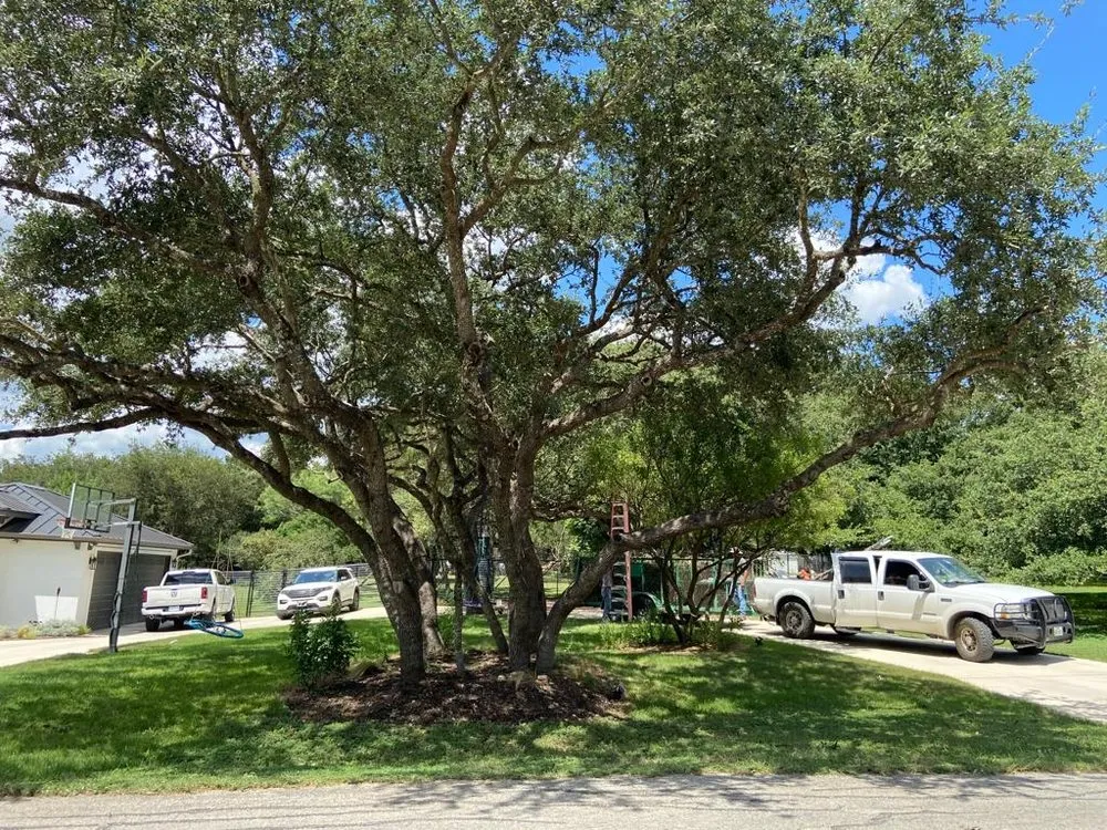 Custom yard maintenance for outdoor upgrades across San Antonio, TX - Cuestas Landscaping