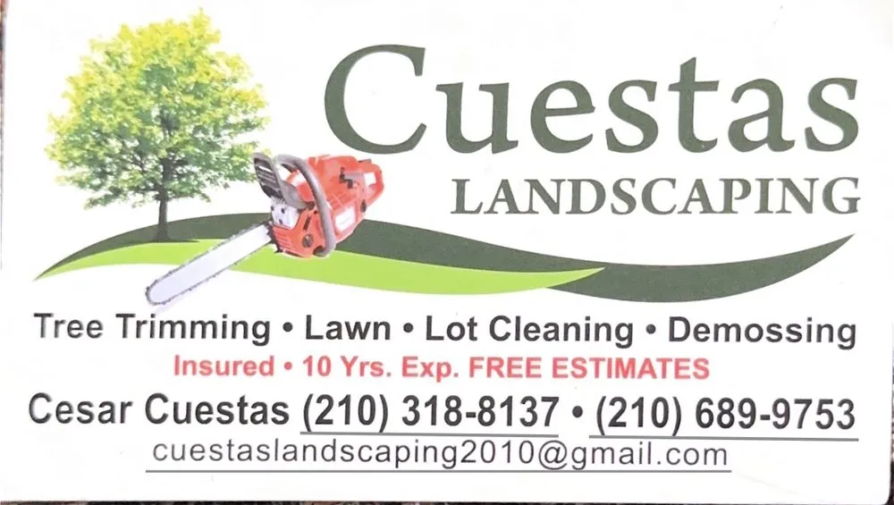 Custom outdoor landscaping for outdoor upgrades in San Antonio, TX by Cuestas Landscaping
