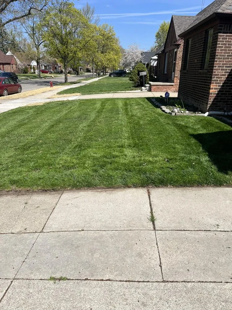 Trusted landscape installation experts serving Detroit, MI - Cueterads Landscaping