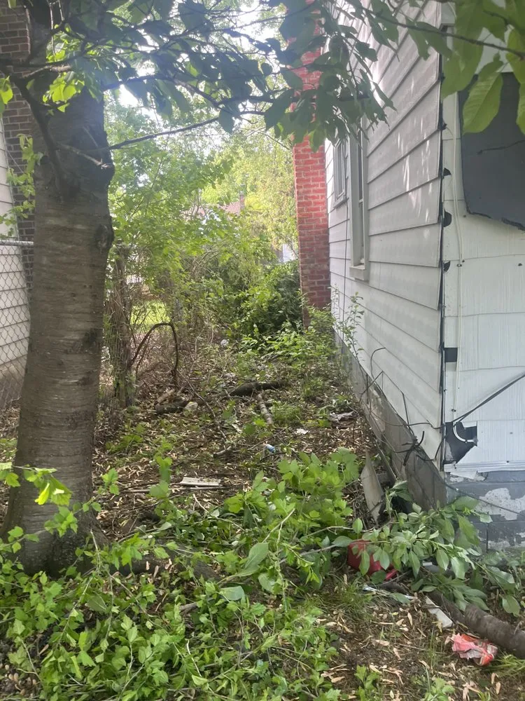 Professional landscape installation for beautiful yards in Detroit, MI by Cueterads Landscaping