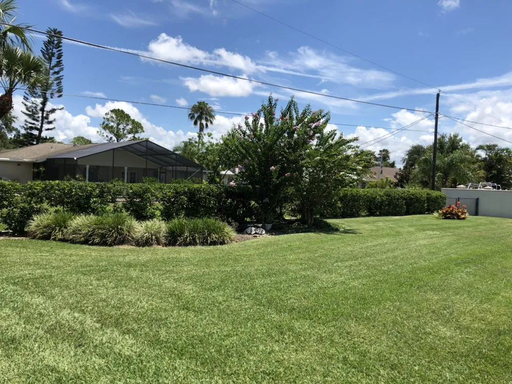 Custom landscaping services experts serving Naples, FL - Cueva Lawncare