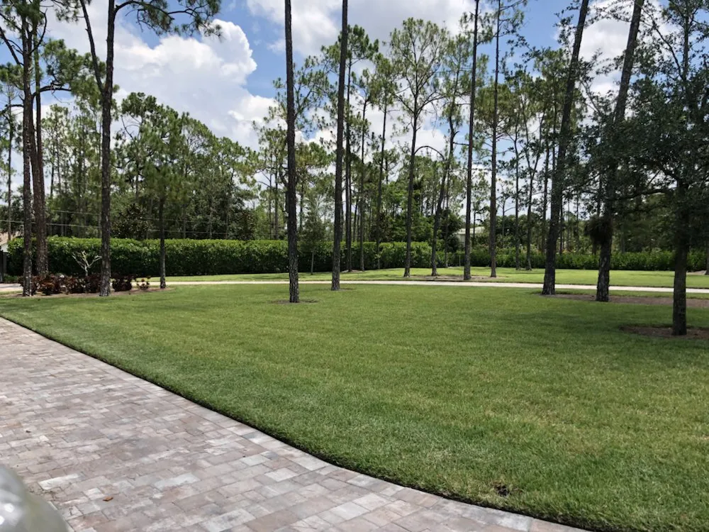 Expert residential landscaping experts serving Naples, FL - Cueva Lawncare