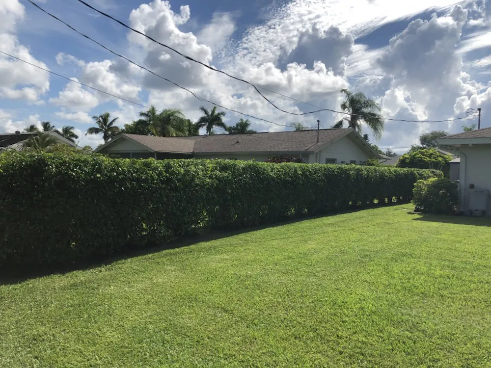 Trusted lawn mowing service for beautiful yards across Naples, FL - Cueva Lawncare