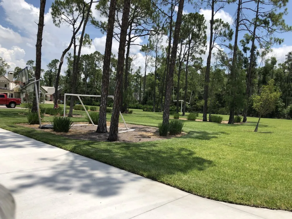 Trusted lawn care service in Naples, FL by Cueva Lawncare