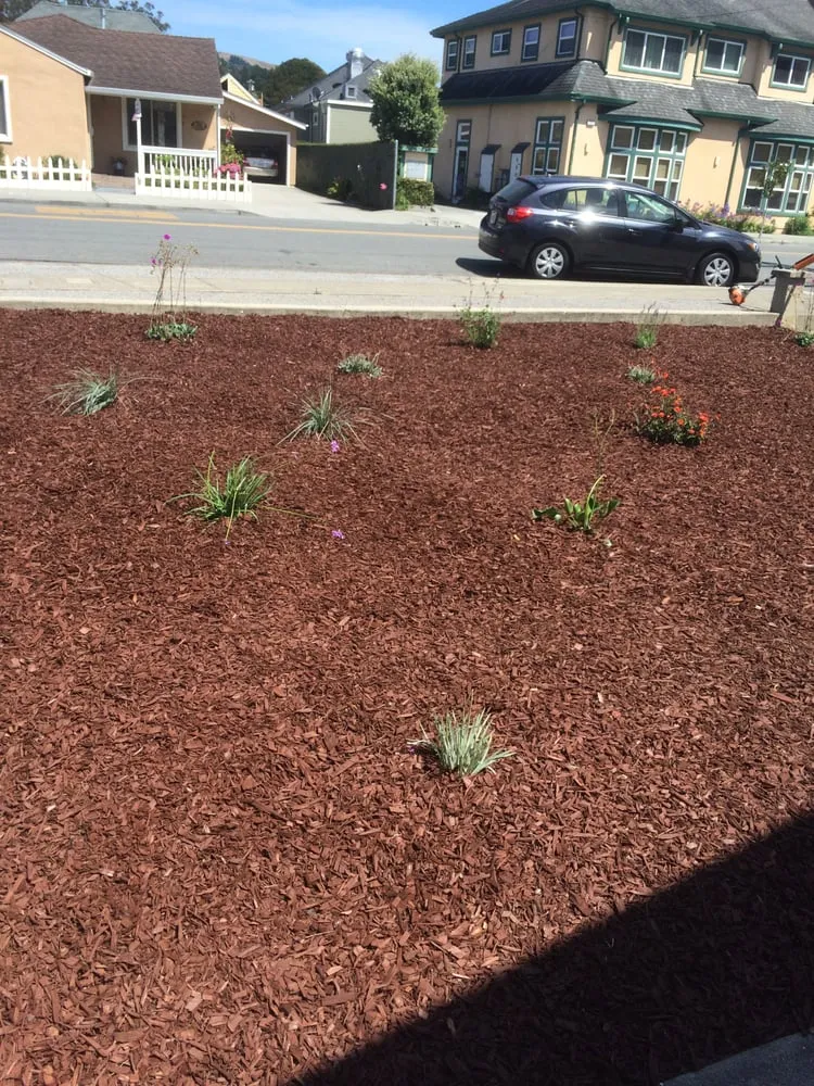 Reliable yard cleanup service experts serving Half Moon Bay, CA - Cuevas Landscaping & Garden Service