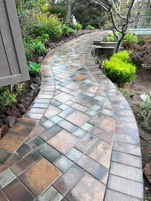 Cuevas Landscaping & Garden Service