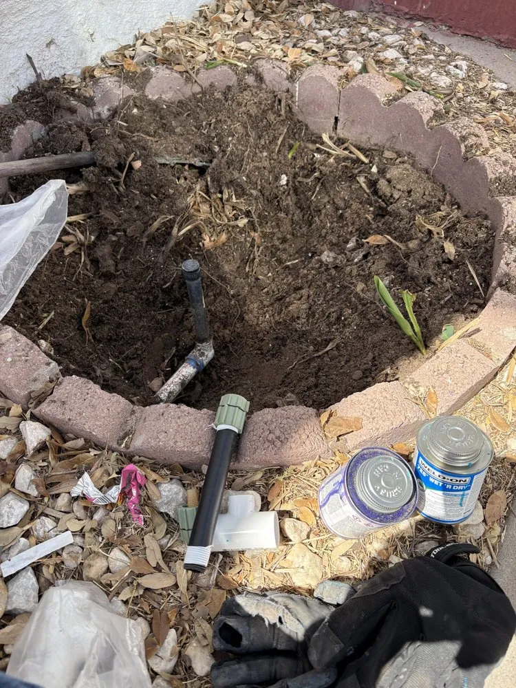 Trusted yard cleanup service experts serving Horizon City, TX - Cuevas Landscaping