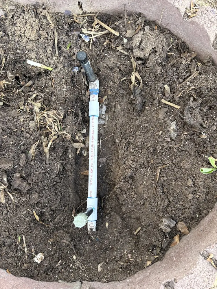 Expert yard maintenance experts serving Horizon City, TX - Cuevas Landscaping