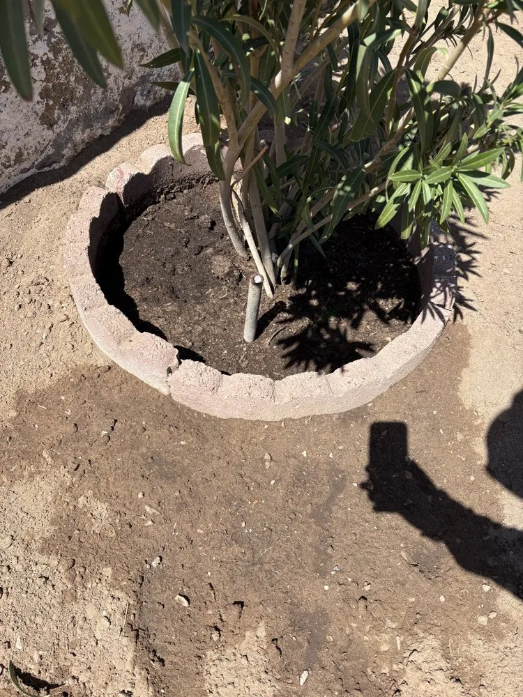 Top-rated garden landscaping in Horizon City, TX by Cuevas Landscaping