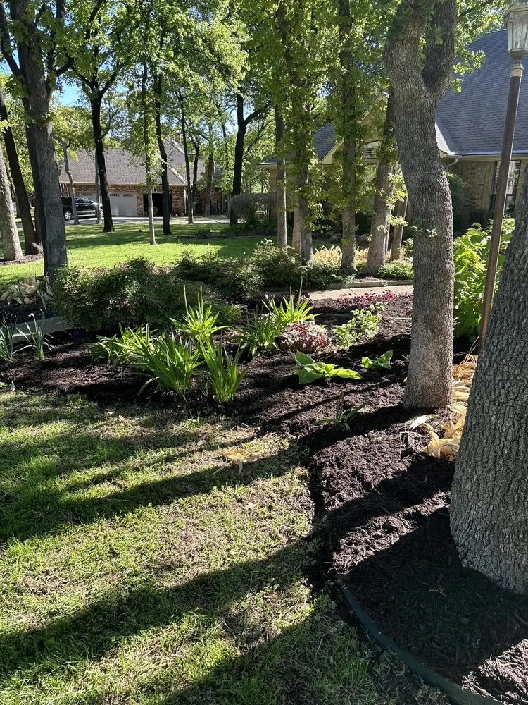 Local landscape design for year-round maintenance in North Richland Hills, TX by Cuevas Landscaping