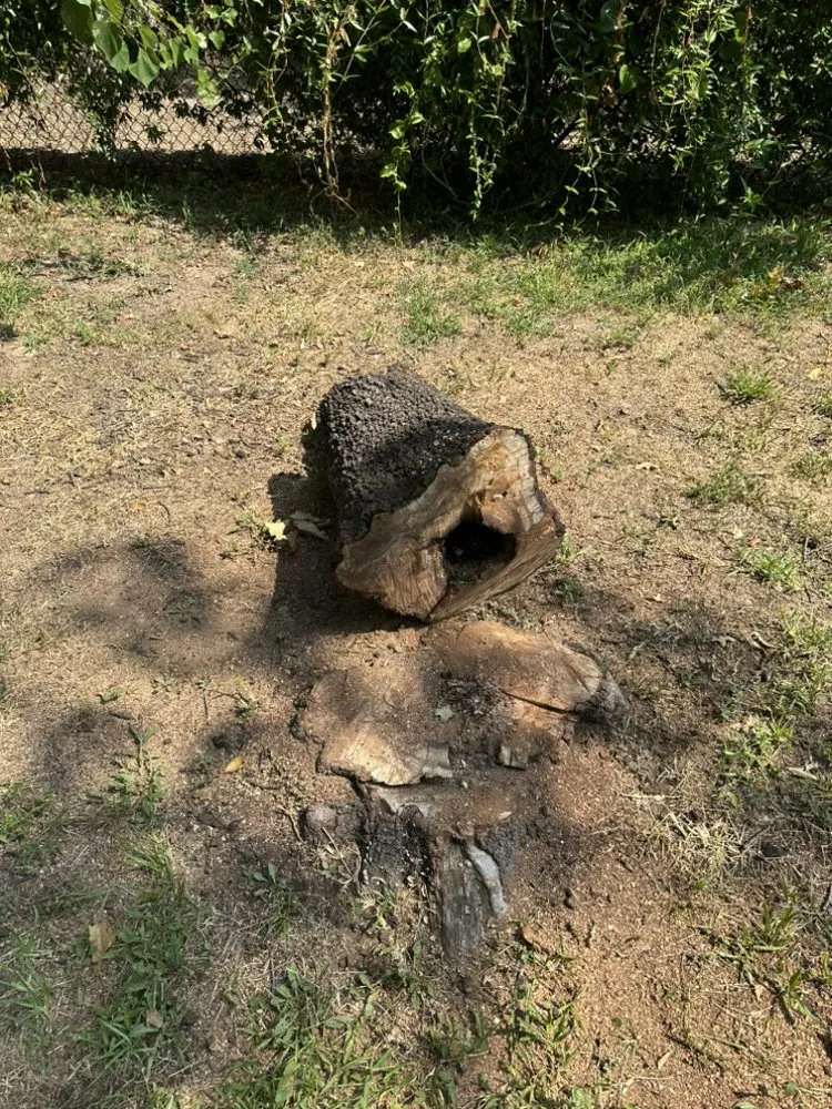 Local outdoor landscaping in North Richland Hills, TX by Cuevas Landscaping