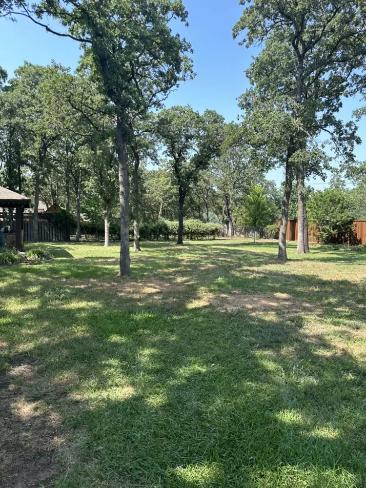 Trusted yard cleanup service in North Richland Hills, TX - Cuevas Landscaping