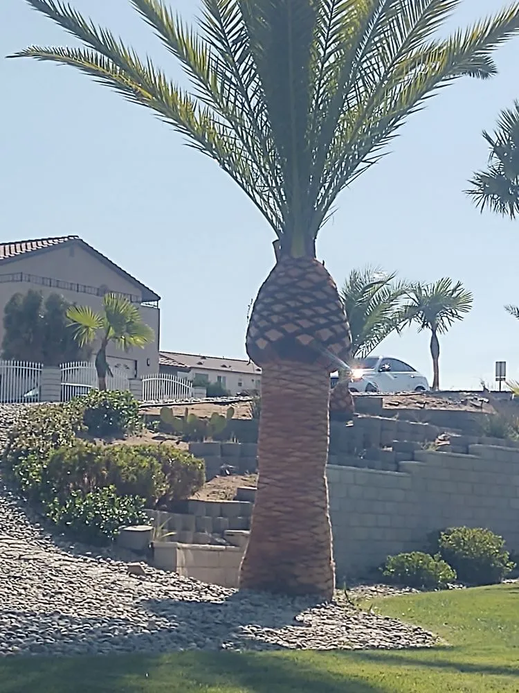 Professional landscape design for homes in Hesperia, CA by Cuevas Tree Service Landscaping