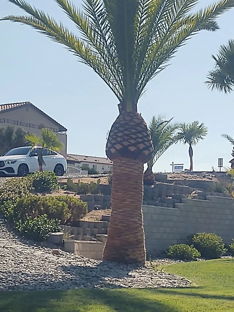 Professional landscape design in Hesperia, CA by Cuevas Tree Service Landscaping